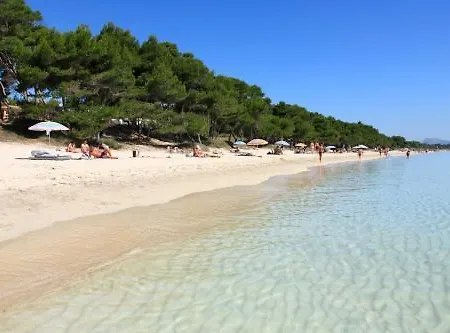 Blanca * Can Picafort (Mallorca)